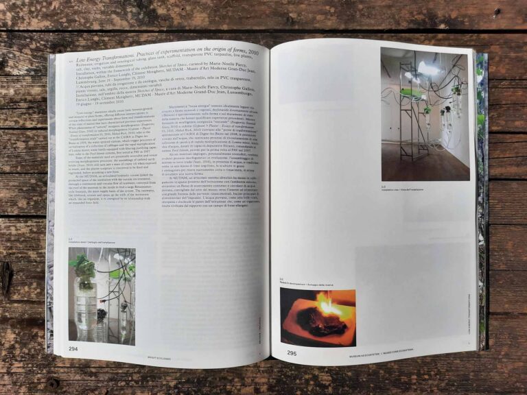 Bright Ecologies. Caretto Spagna Experiences, Forms, Materials (Viaindustriae publishing - Les presses du réel, 2024) [2]