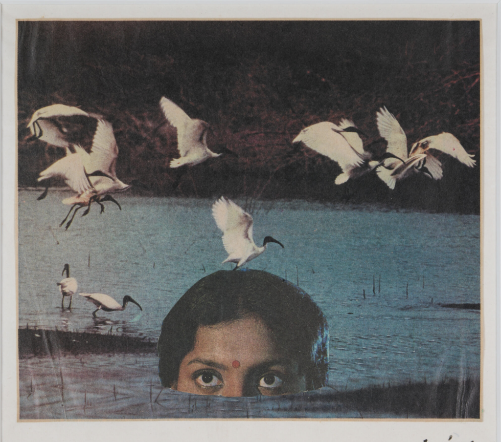 C. K. Rajan, Mild Terrors-II, 1991-1996. Courtesy the artist and Kiran Nadar Museum of Art, New Delhi