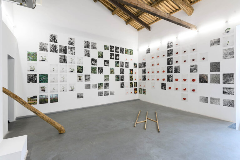 Judit Bou, Marta R Chust and Roc Domingo Puig, Albert Gironès, Laura Palau La forma solida del paesaggio (The Solid Form of Landscape), AlbumArte 2024, exhibition view, photo by Giorgio Benni, courtesy AlbumArte