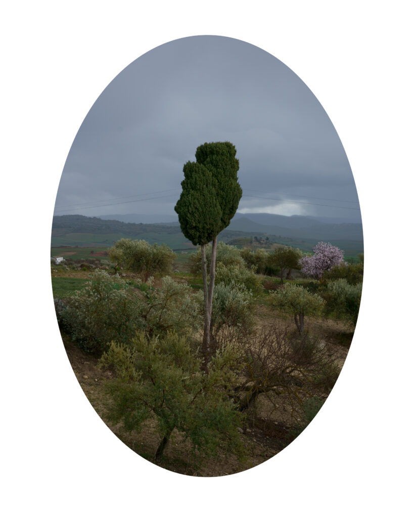 Mappa-mondo. Fotografie di dieci paesi in Sicilia