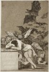 Goya, Il sonno della ragione genera mostri