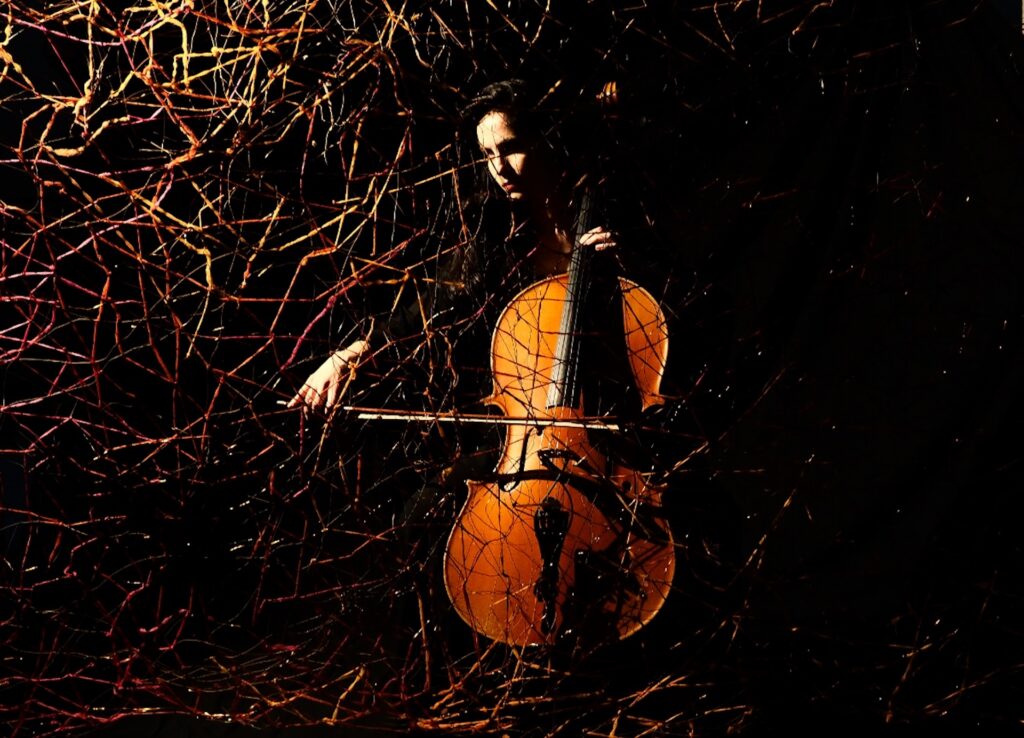 Arte e musica. Intervista alla violoncellista Laura Bisceglia