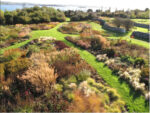 Piet Oudolf, The Meadow, Planting Design for Glenkeen Garden, West Cork, Ireland