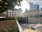 The green roof of Crespo House, Frankfurt, under construction