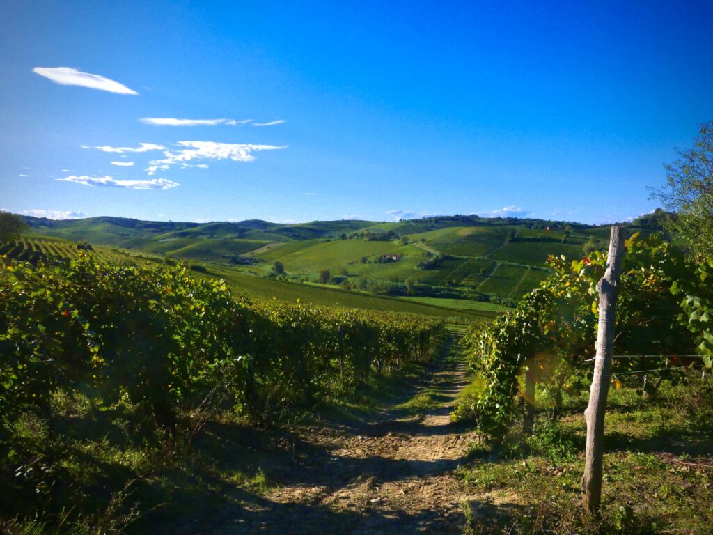 Quale futuro turistico per i borghi italiani? Uno studio in Monferrato azzarda la risposta