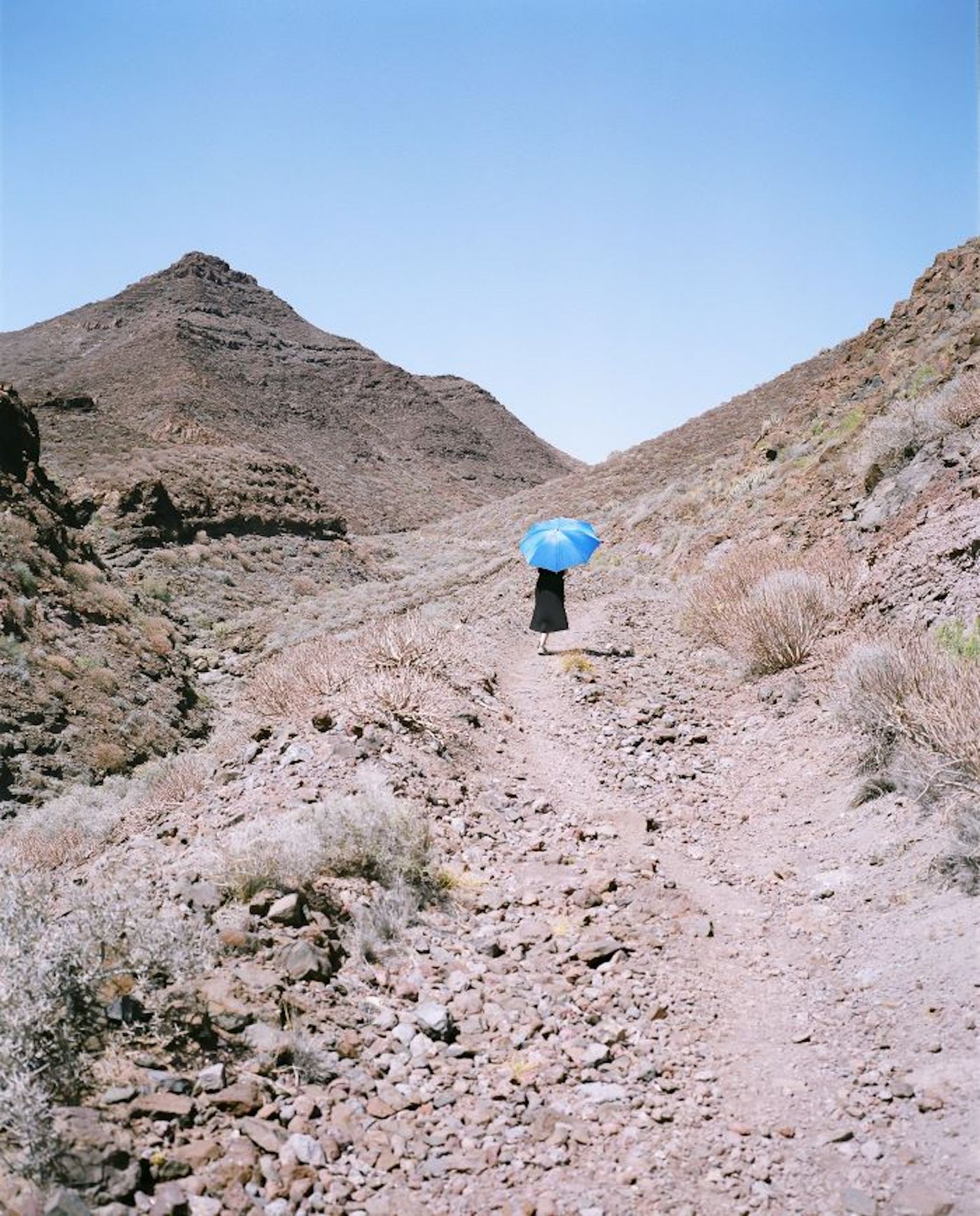 6 - Desert Flower III - D - Gran Canaria - 2022 - copyright Sira-Zoe Schmid -  Markus Oberndorfer e