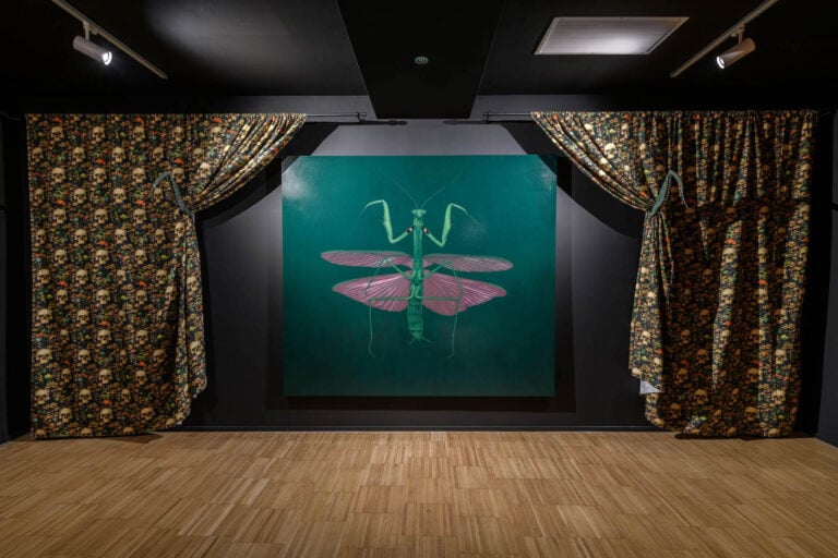 Leonardo Petrucci, Viriditas, installation view at Galleria Gilda Lavia, Roma, 2024. Photo Giorgio Benni