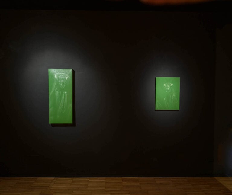 Leonardo Petrucci, Viriditas, installation view at Galleria Gilda Lavia, Roma, 2024. Photo Giorgio Benni