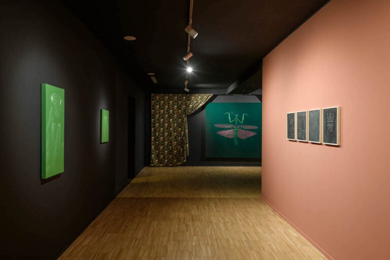 Leonardo Petrucci, Viriditas, installation view at Galleria Gilda Lavia, Roma, 2024. Photo Giorgio Benni