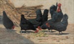 Spartaco Vela, Galline nere, 1884-6 @Museo Vincenzo Vela © MVV: S.Carsana