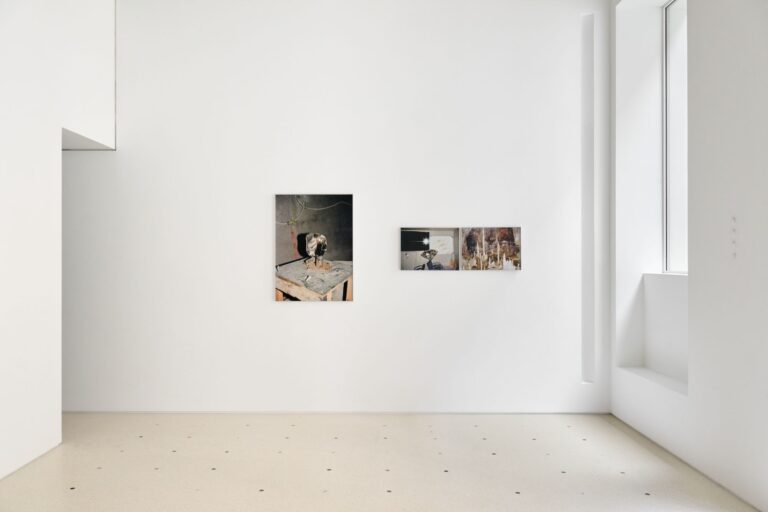 Ordinary Wounds 平凡的伤痕, Rachele Maistrello, Installation view at Artopia Gallery, ph. Michela Pedranti_Image courtesy the artist and the gallery