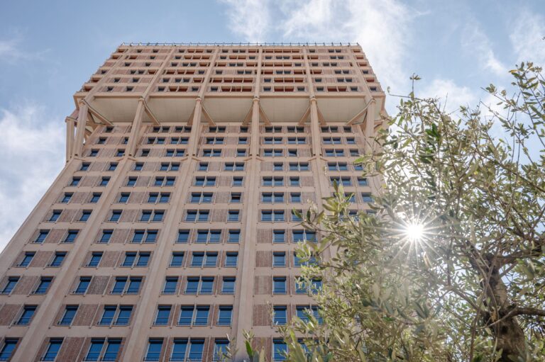 Torre Velasca, vista ascendente con ulivo. Photo ©Albo