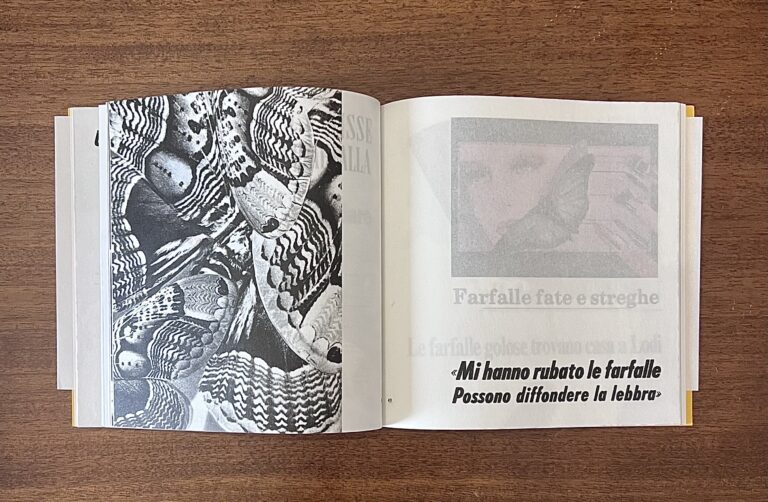 70percento magazine, Collezione di Farfalle