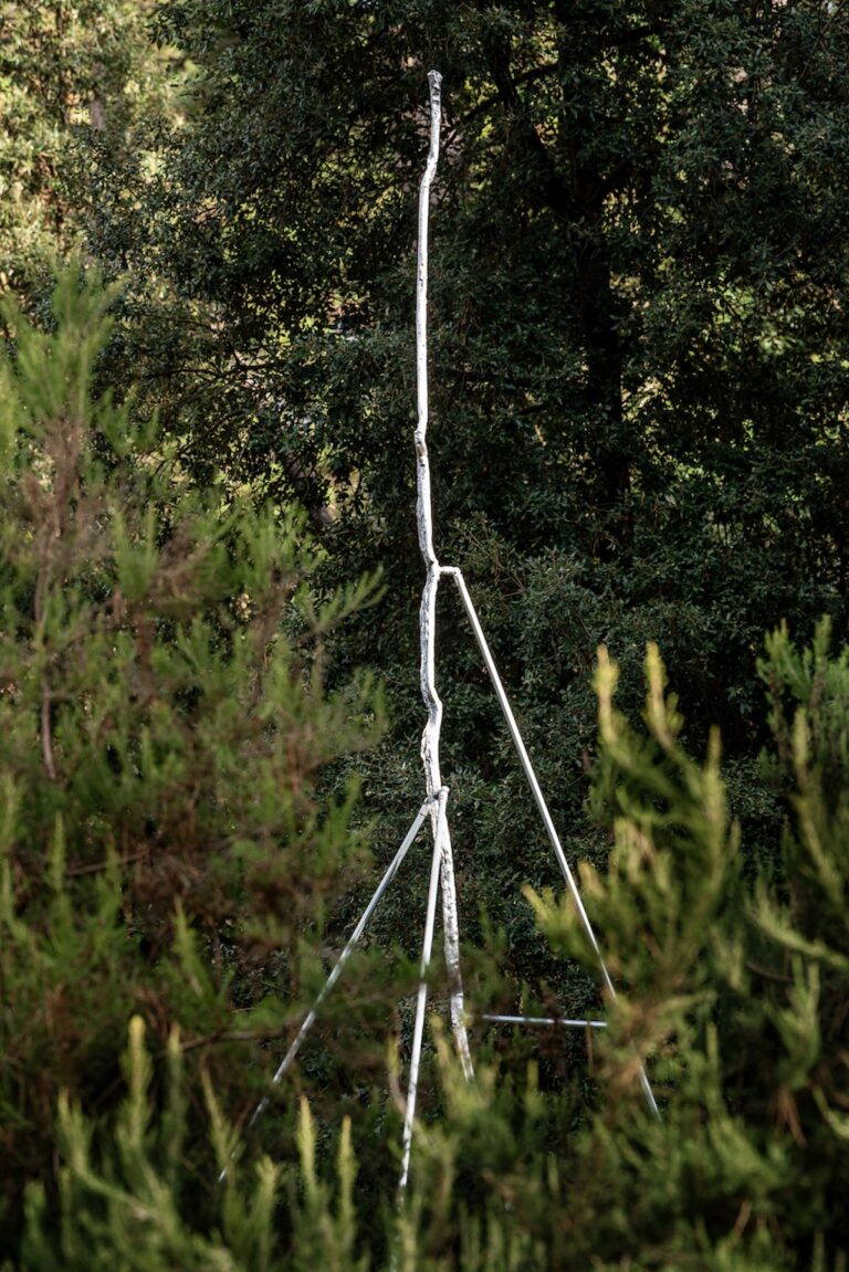 Antonio Della Guardia, A voce di tuono, Courtesy Associazione Culturale Dello Scompiglio, Photo Leonardo Morfini