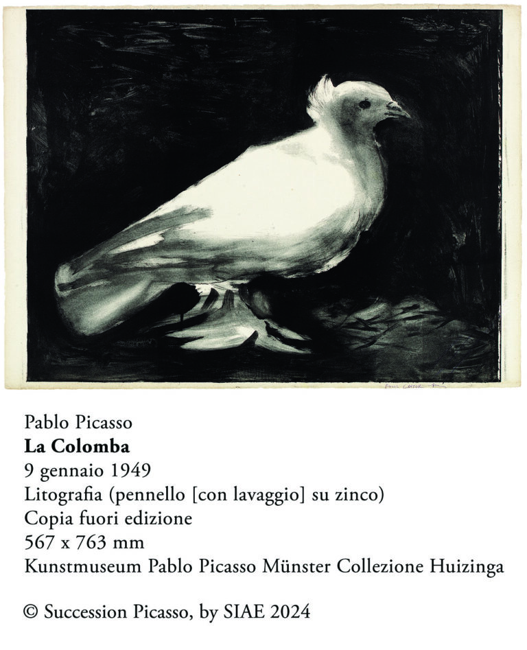 Pablo Picasso, La Colomba