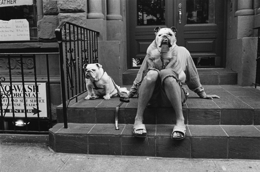 Elliott Erwitt – Icons