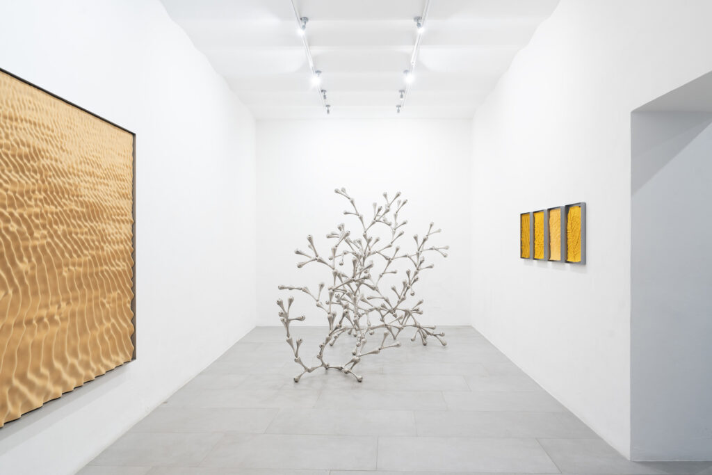 Garden, installation view, Loris Cecchini - RizzutoGallery, 2024 