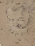 Giambattista Tiepolo, Testa di cherubino, carboncino e gessetto bianco, 285 x 223 mm