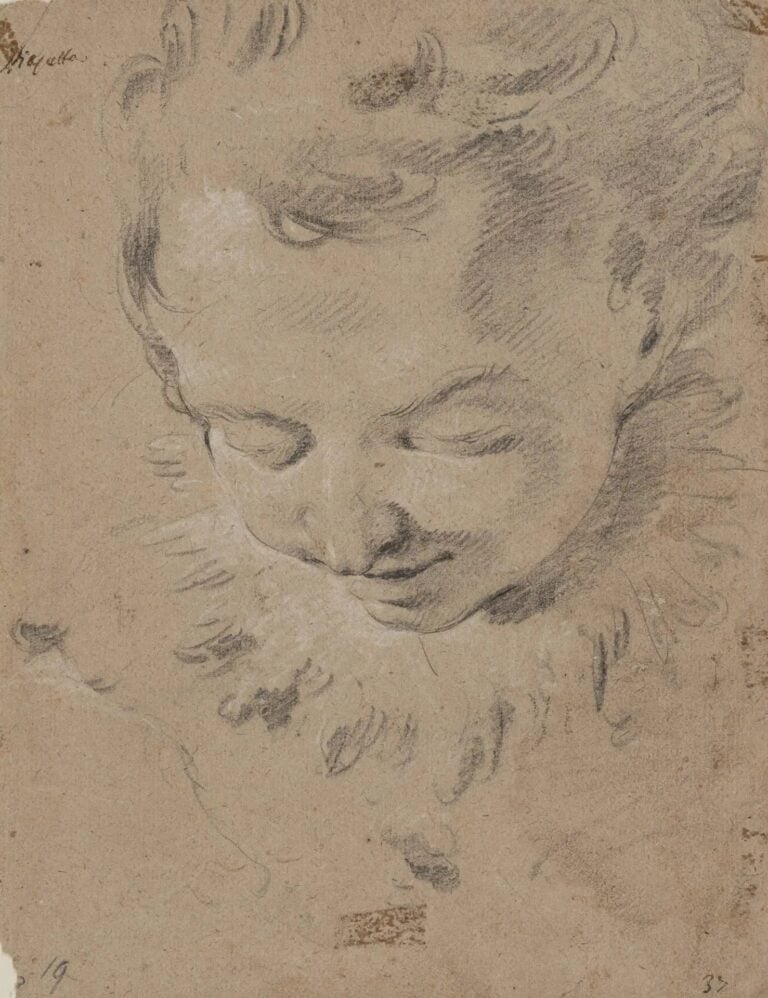 Giambattista Tiepolo, Testa di cherubino, carboncino e gessetto bianco, 285 x 223 mm