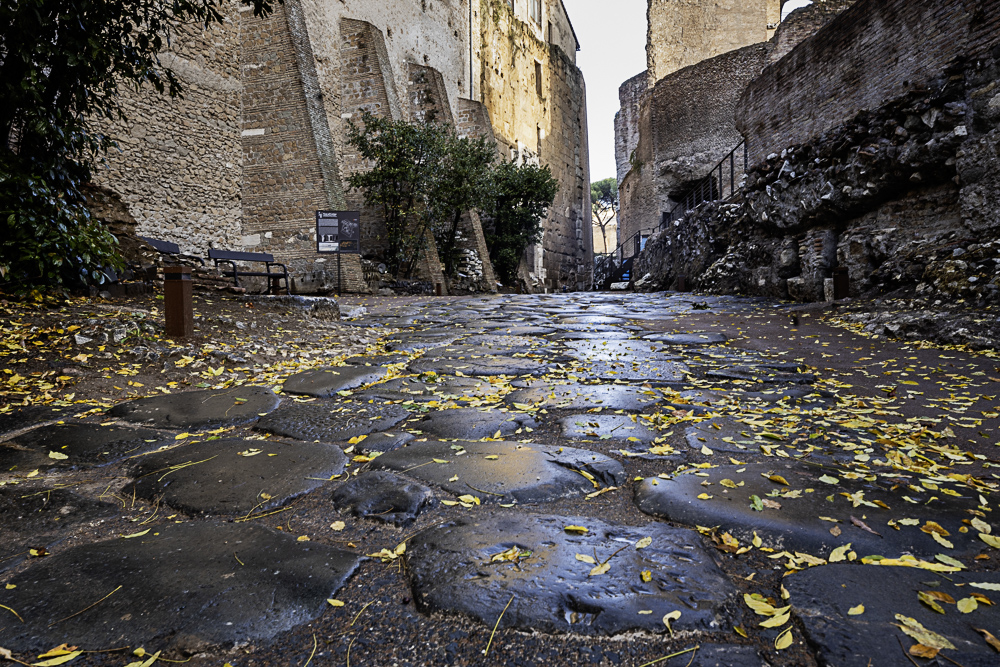 Horrea Piperataria, nuovo percorso di visita. Photo Simona Murrone, Parco archeologico del Colosseo