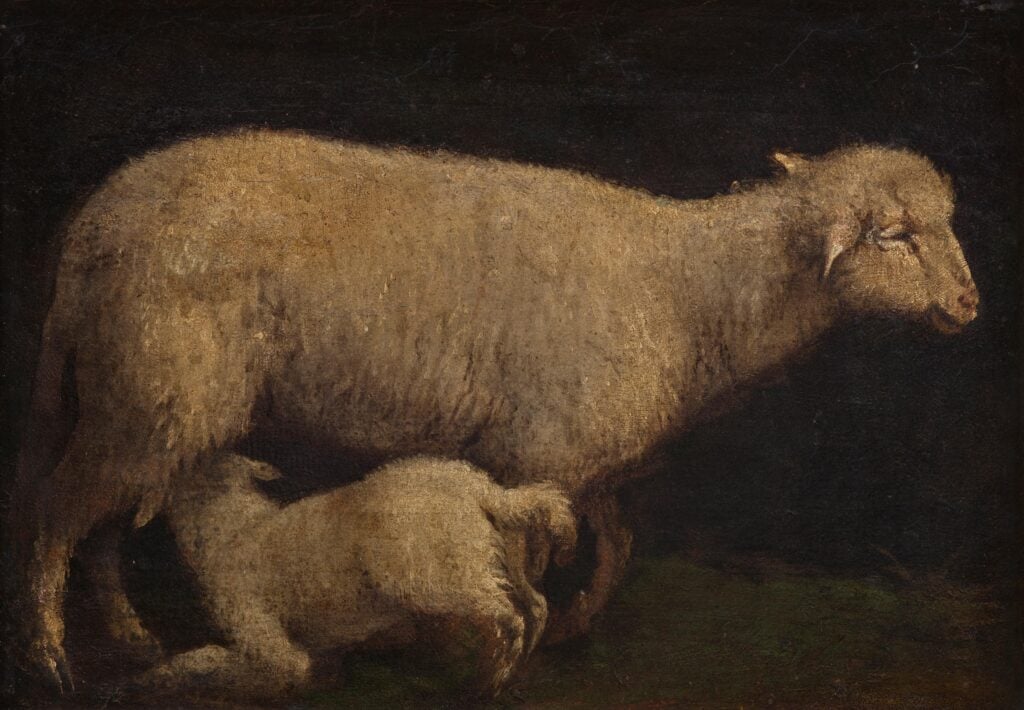 Jacopo Bassano, Pecora con agnello, post 1576. Galleria Borghese, Roma. Photo Galleria Borghese Mauro Coen