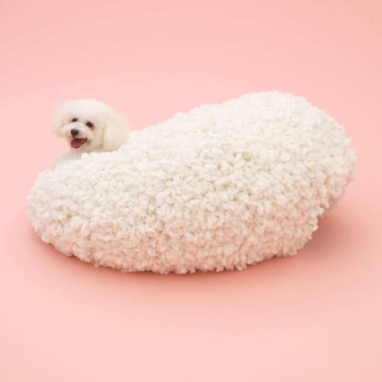 KAZUYO SEJIMA, Architecture for bichon frise