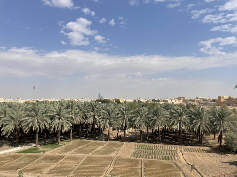 La distesa del Wadi Hanifah davanti al Diriyah Art Futures, foto Claudia Giraud