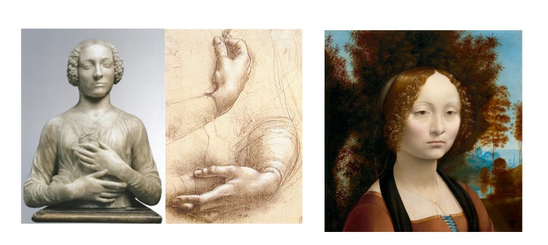 Leonardo da Vinci, La Dama col Mazzolino. Museo Nazionale del Bargello. Firenze  Al centro Leonardo da Vinci; Disegno di mani. Il disegno è chiaramente uno studio per la Dama col Mazzolino . A destra Leonardo da Vinci ; Ritratto di Ginevra Benci. National Gallery of Art Washington