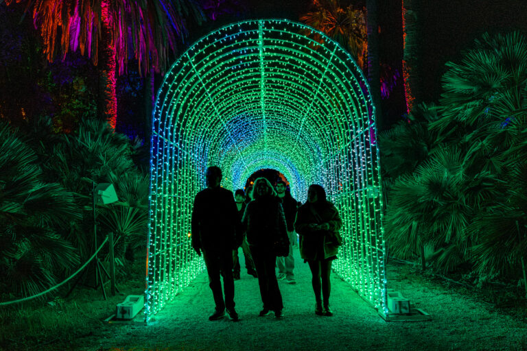 trame di luce installazione luminosa A Natale l'Orto Botanico di Roma si accende con le installazioni luminose