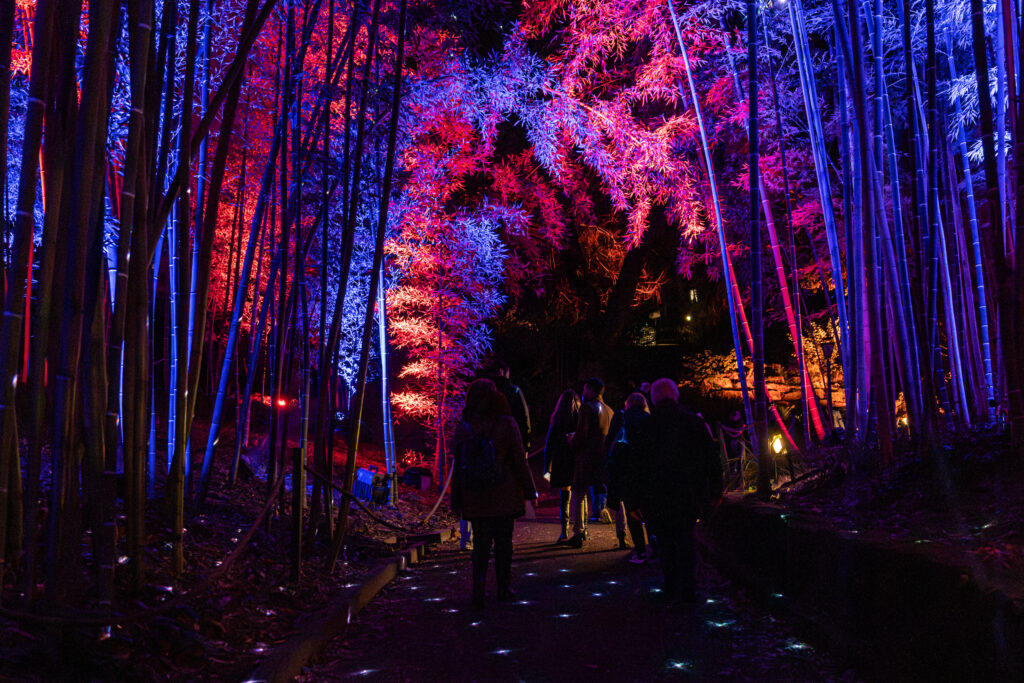 A Natale l’Orto Botanico di Roma si accende con le installazioni luminose