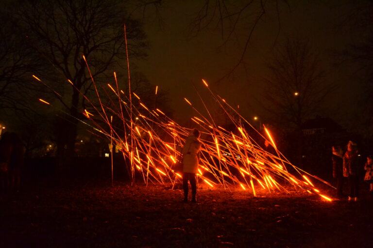 trame di luce installazione luminosa lac fluxit vendel de wolf copyright wendel de wolf A Natale l'Orto Botanico di Roma si accende con le installazioni luminose