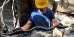 Un serpente di bronzo ritrovato a San Casciano dei Bagni. Foto Ludovico Salerno, Ministero della Cultura