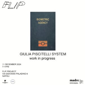 Giulia Piscitelli System - Work in Progress