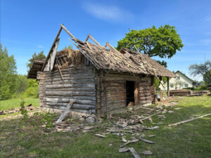 Augustas Serapinas - Wooden Travel