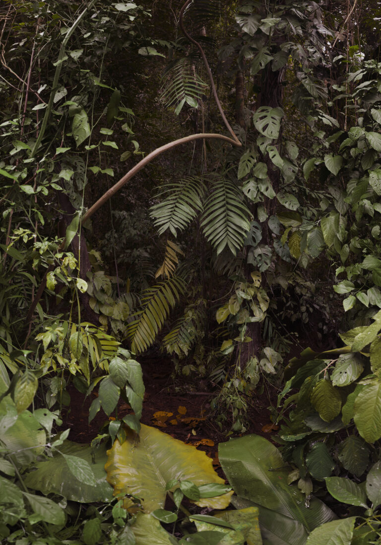 Julius von Bismarck, Landscape Painting (Jungle), 2015. Courtesy the artist; alexander levy, Berlin; Sies + Höke, Düsseldorf © Julius von Bismarck by SIAE 2024 / © Julius von Bismarck, VG Bild - Kunst, Bonn 2024