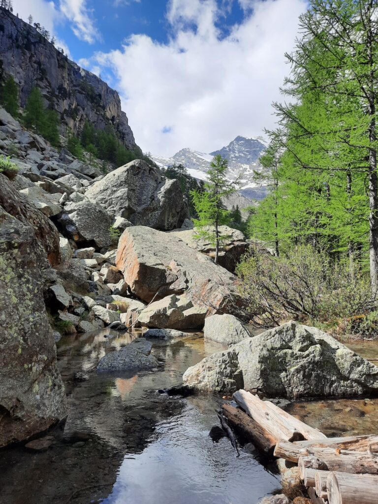 Domande al Corpo Glaciale, 2021 nell'ambito di Caretto:Spagna %22Segnali dal Corpo Glaciale%22, 2021-2022, Parco Nazionale del Gran Paradiso, Valle d’Aosta