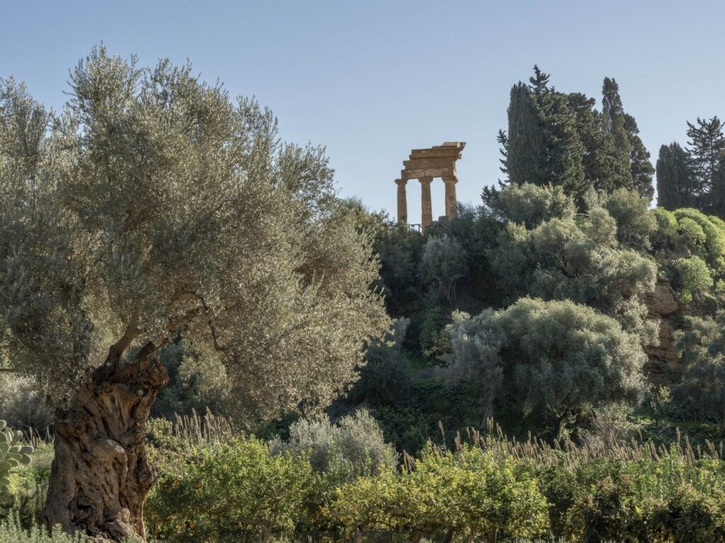 Giardino della Kolymbethra Foto Massimo Siragusa 2024 © FAI