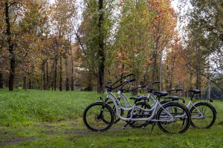 La bici dell'abbraccio