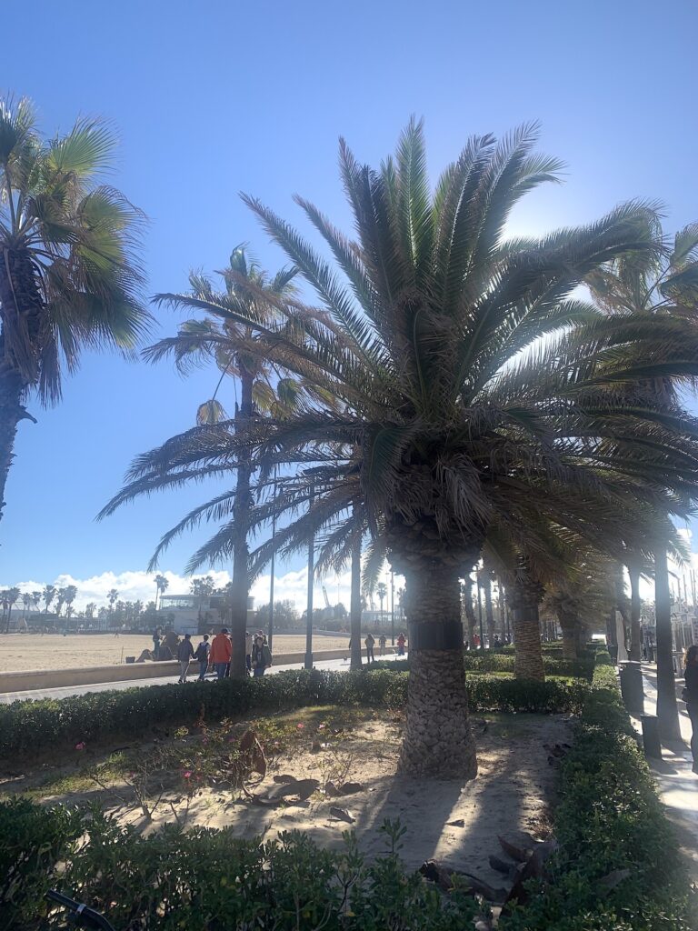 Lungomare di Valencia. Photo Claudia Zanfi