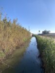 Oasi Naturale Albufeira Valencia. Photo Claudia Zanfi