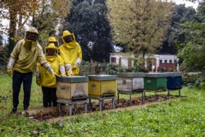 Negli Scavi di Pompei c’è anche una fattoria