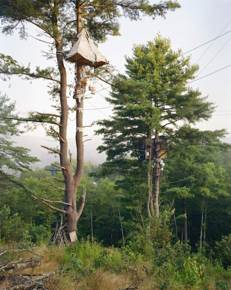 Tree-Sits, Camp White Pine, Huntingdon County, Pennsylvania 2017(c) Mitch Epstein