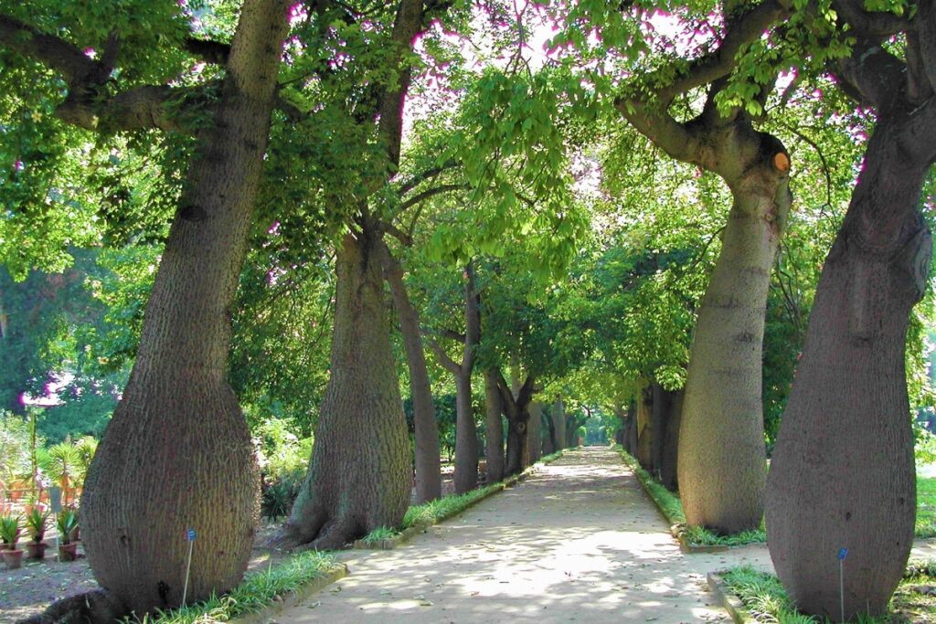 1 orto botanico di palermo c apgi associazione parchi e giardini ditalia 1200x800 1 Lavoro nell’arte: opportunità da Scuola patrimonio, Comune di Milano, Accademia Santa Giulia, Kaninchen-Haus