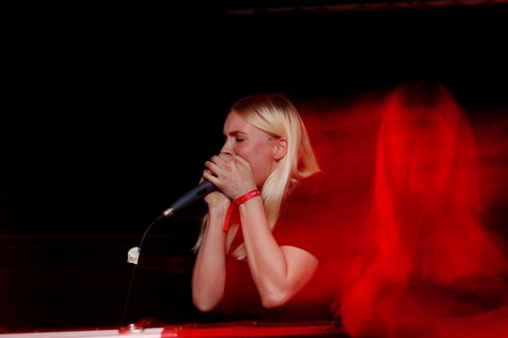 Puce Mary, 2014, live. Photo Gergely Csatari