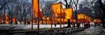 The Gates, Central Park, New York City, 1979-2005 — Photo: Wolfgang Volz © 2005 Christo and Jeanne-Claude Foundation