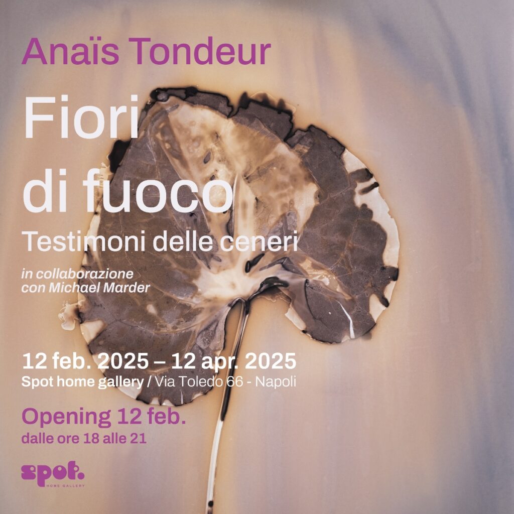 Anaïs Tondeur – Fiori di fuoco. Testimoni delle ceneri