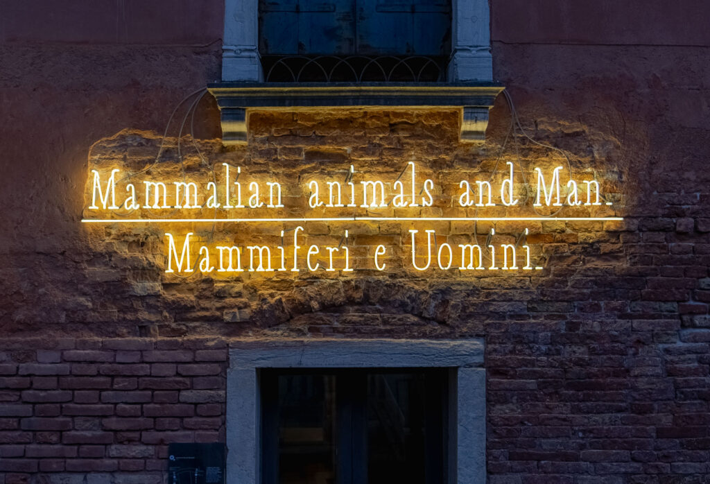 La materia dell’ornamento. Celebrating Joseph Kosuth