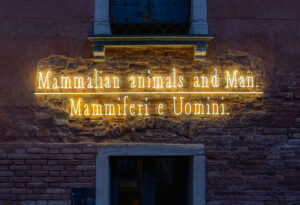 La materia dell’ornamento. Celebrating Joseph Kosuth