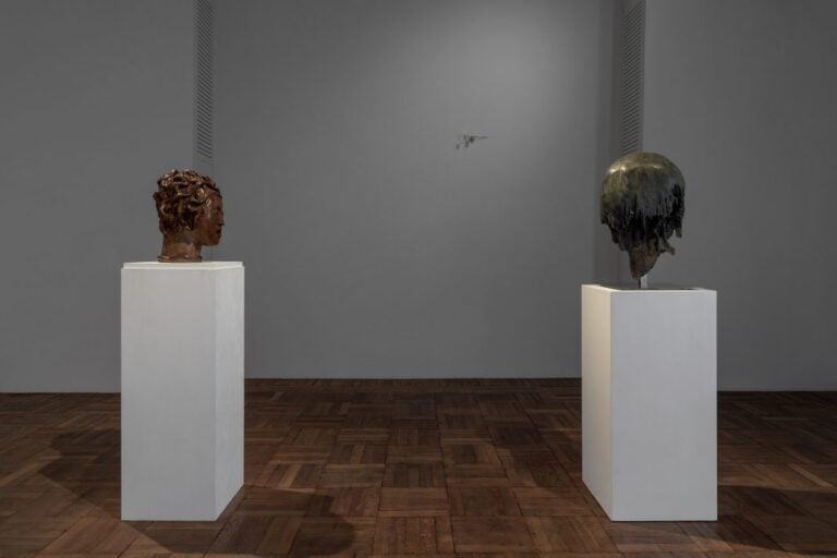 Giorgio Andreotta Calo Scultura lingua morta. Installation view Ca' Pesaro, Venezia, 2024. Photo Irene Fanizza