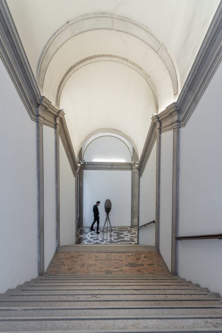 Giorgio Andreotta Calo Scultura lingua morta. Installation view Ca' Pesaro, Venezia, 2024. Photo Irene Fanizza